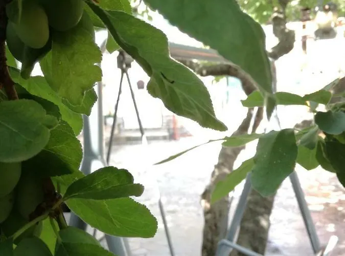 Διαμέρισμα Magli